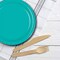 24 Count Teal Paper Plates 7" Round Dessert Plates for Weddings and Parties